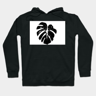 monstera leaf on white background closeup Hoodie